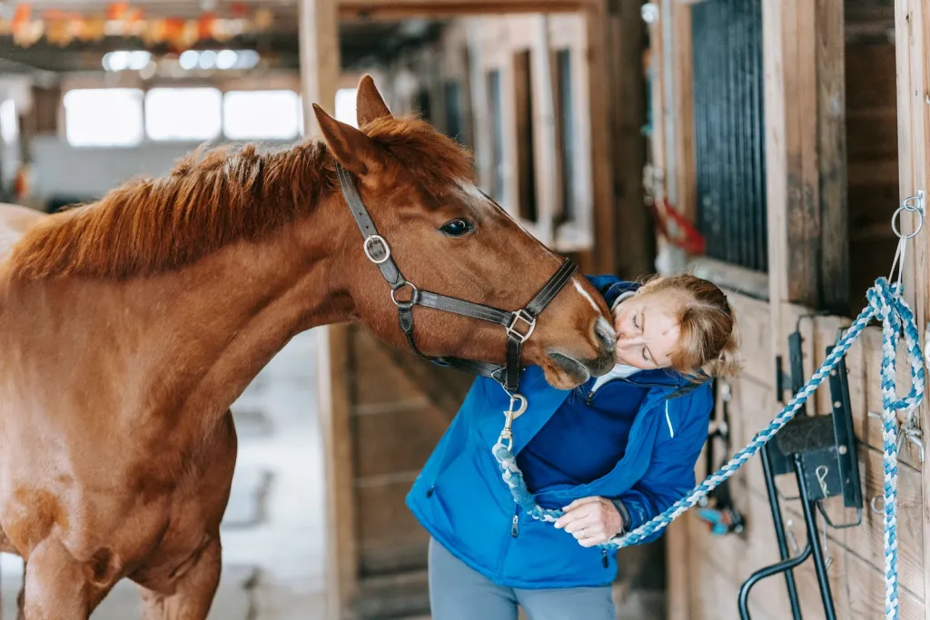 Equine Care at Your Barn